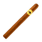 We Lose You Gain 7 x 48, , jrcigars